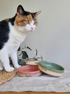Personalised Ceramic Cat Bowls **Made to Order**
