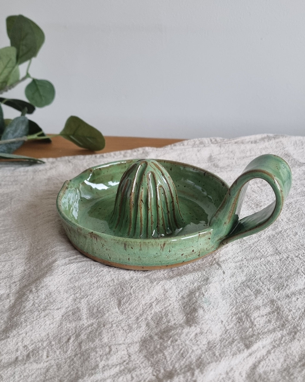 Handmade Ceramic Citrus Juicer with Handle in Green Speckle